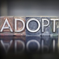 parent adoption, co parent adoption, 2nd parent adoption, second parent adoptions, gay parent adoption, second parent adoption states
