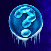 Frozen Embryo v. Fresh Embryo viability